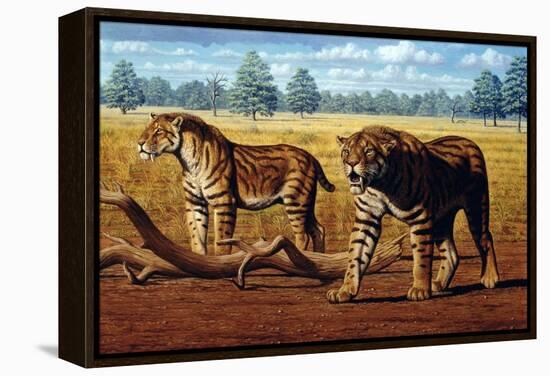 Sabre-toothed Cats, Artwork-Mauricio Anton-Framed Premier Image Canvas