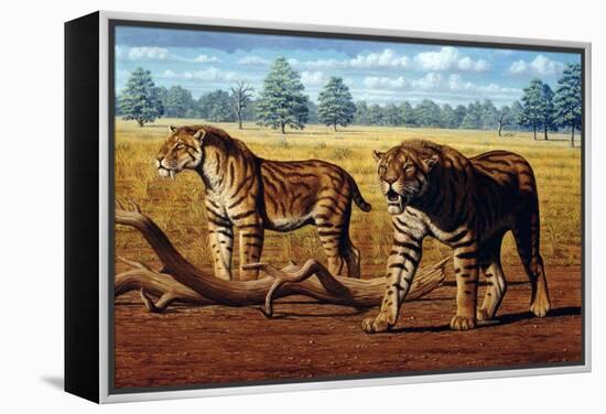 Sabre-toothed Cats, Artwork-Mauricio Anton-Framed Premier Image Canvas