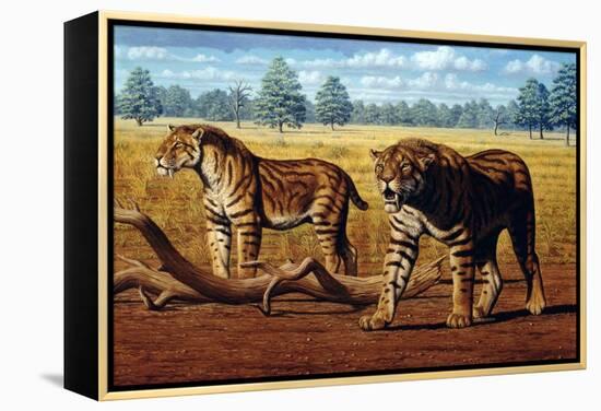 Sabre-toothed Cats, Artwork-Mauricio Anton-Framed Premier Image Canvas