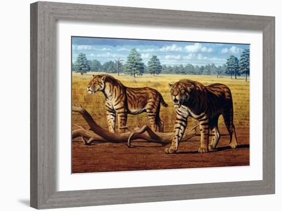 Sabre-toothed Cats, Artwork-Mauricio Anton-Framed Photographic Print