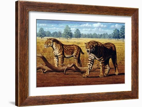 Sabre-toothed Cats, Artwork-Mauricio Anton-Framed Photographic Print