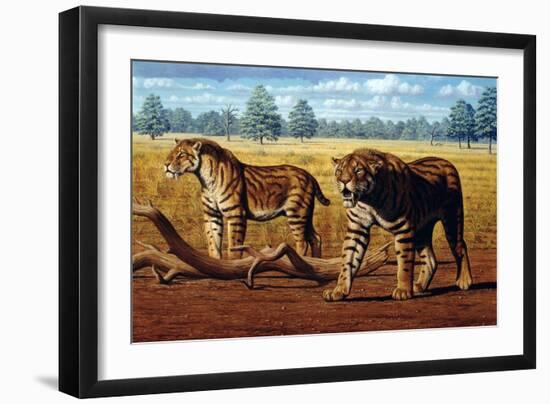 Sabre-toothed Cats, Artwork-Mauricio Anton-Framed Photographic Print