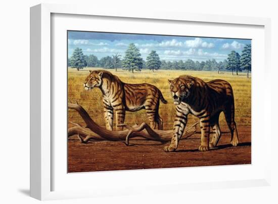 Sabre-toothed Cats, Artwork-Mauricio Anton-Framed Photographic Print