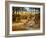 Sabre-toothed Cats Fighting-Mauricio Anton-Framed Photographic Print