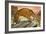 Sabre-Toothed Tiger Out Hunting-Angus Mcbride-Framed Giclee Print