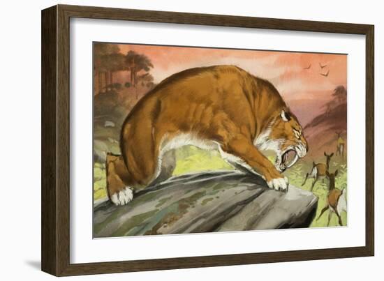 Sabre-Toothed Tiger Out Hunting-Angus Mcbride-Framed Giclee Print