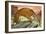 Sabre-Toothed Tiger Out Hunting-Angus Mcbride-Framed Giclee Print