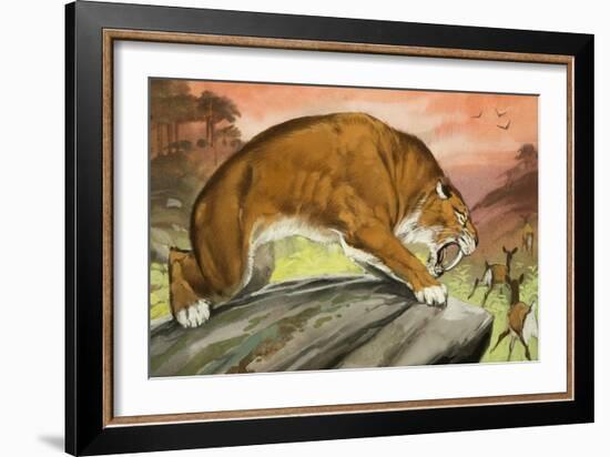 Sabre-Toothed Tiger Out Hunting-Angus Mcbride-Framed Giclee Print