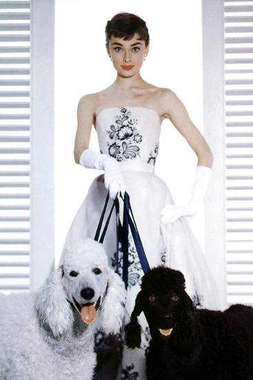 Sabrina, Audrey Hepburn, 1954' Photo | Art.com