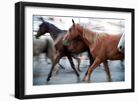 Saca De Las Yeguas- Festival, Town of Almonte, Province of Huelva, Andalusia, Spain-Felipe Rodriguez-Framed Photographic Print