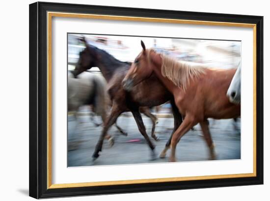 Saca De Las Yeguas- Festival, Town of Almonte, Province of Huelva, Andalusia, Spain-Felipe Rodriguez-Framed Photographic Print