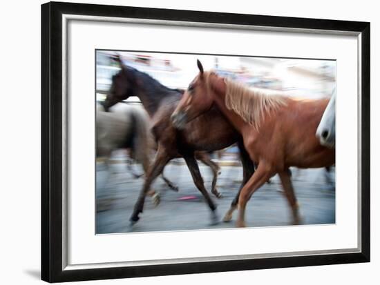 Saca De Las Yeguas- Festival, Town of Almonte, Province of Huelva, Andalusia, Spain-Felipe Rodriguez-Framed Photographic Print