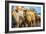 Saca De Las Yeguas- Festival, Town of Almonte, Province of Huelva, Andalusia, Spain-Felipe Rodriguez-Framed Photographic Print