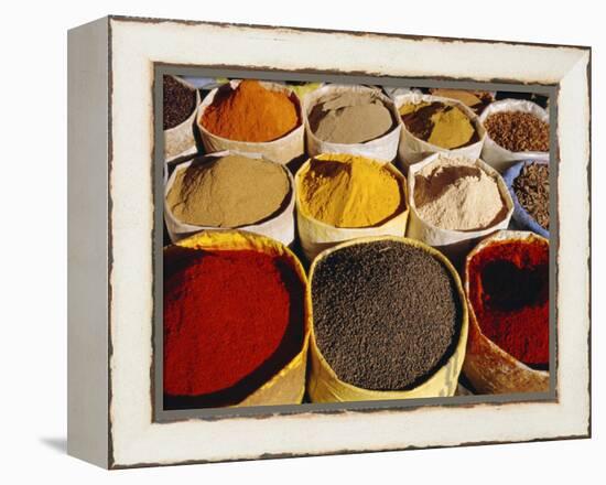 Sacks of Spices, Ouarzazate Market, Morocco, North Africa-Bruno Morandi-Framed Premier Image Canvas