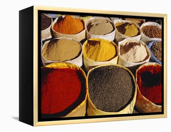 Sacks of Spices, Ouarzazate Market, Morocco, North Africa-Bruno Morandi-Framed Premier Image Canvas