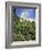 Sacre Coeur Cathedral, Paris, France, Europe-Richard Nebesky-Framed Photographic Print