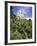 Sacre Coeur Cathedral, Paris, France, Europe-Richard Nebesky-Framed Photographic Print