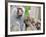 Sacred Baboon Male with His Harem-null-Framed Photographic Print