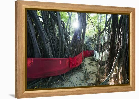 Sacred Baobab tree, Nosy Be Island, northern area, Madagascar, Africa-Christian Kober-Framed Premier Image Canvas