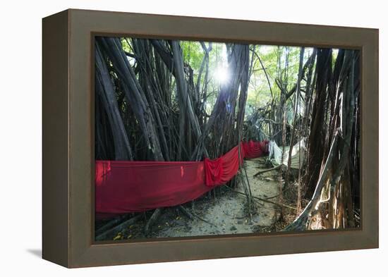 Sacred Baobab tree, Nosy Be Island, northern area, Madagascar, Africa-Christian Kober-Framed Premier Image Canvas