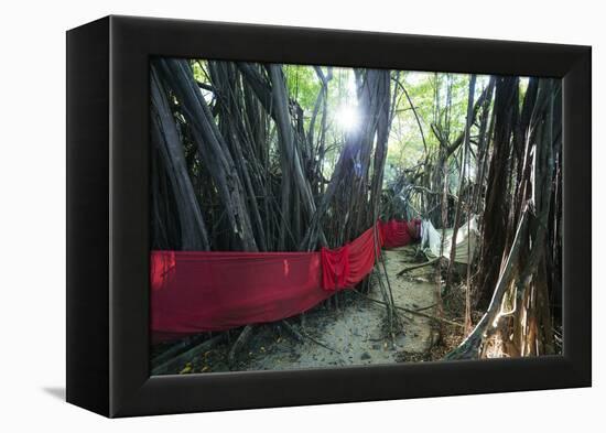 Sacred Baobab tree, Nosy Be Island, northern area, Madagascar, Africa-Christian Kober-Framed Premier Image Canvas