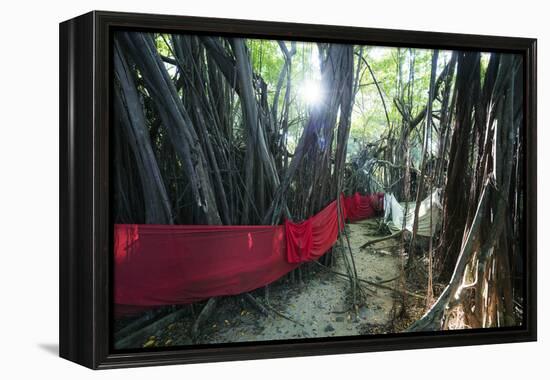 Sacred Baobab tree, Nosy Be Island, northern area, Madagascar, Africa-Christian Kober-Framed Premier Image Canvas