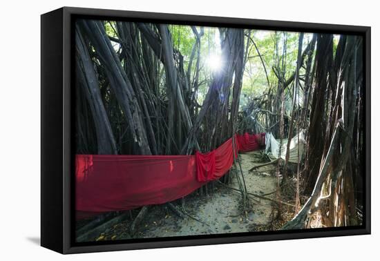 Sacred Baobab tree, Nosy Be Island, northern area, Madagascar, Africa-Christian Kober-Framed Premier Image Canvas