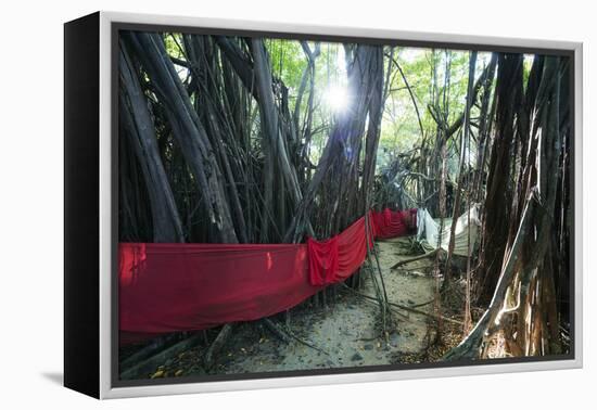 Sacred Baobab tree, Nosy Be Island, northern area, Madagascar, Africa-Christian Kober-Framed Premier Image Canvas