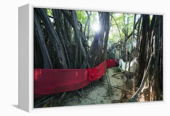 Sacred Baobab tree, Nosy Be Island, northern area, Madagascar, Africa-Christian Kober-Framed Premier Image Canvas