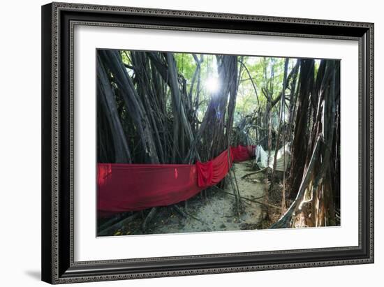 Sacred Baobab tree, Nosy Be Island, northern area, Madagascar, Africa-Christian Kober-Framed Photographic Print