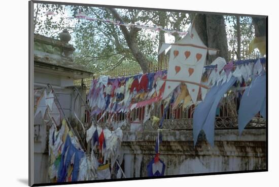 Sacred bo-tree at Anuradhapura in Sri Lanka. Artist: Unknown-Unknown-Mounted Photographic Print