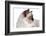 Sacred Cat of Burma-Fabio Petroni-Framed Photographic Print