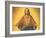 Sacred Heart of Jesus, 1965-null-Framed Giclee Print