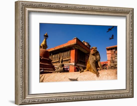 Sacred Monkey Temple, Kathmandu, Nepal, Asia-Laura Grier-Framed Photographic Print