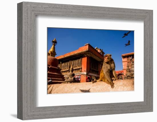 Sacred Monkey Temple, Kathmandu, Nepal, Asia-Laura Grier-Framed Photographic Print