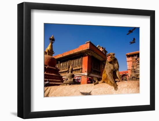 Sacred Monkey Temple, Kathmandu, Nepal, Asia-Laura Grier-Framed Photographic Print