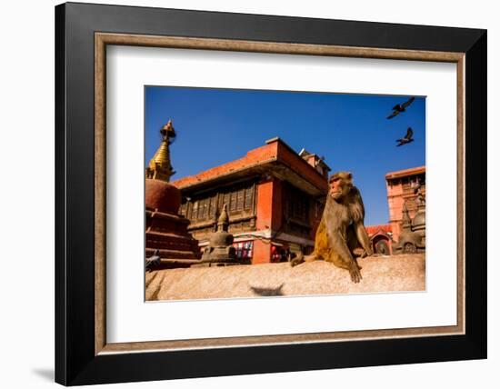 Sacred Monkey Temple, Kathmandu, Nepal, Asia-Laura Grier-Framed Photographic Print