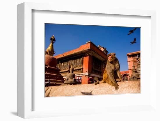 Sacred Monkey Temple, Kathmandu, Nepal, Asia-Laura Grier-Framed Photographic Print