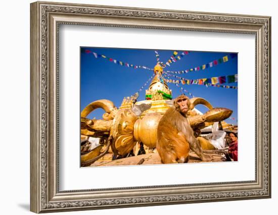 Sacred Monkey Temple (Swayambhunath Temple), UNESCO World Heritage Site, Kathmandu, Nepal, Asia-Laura Grier-Framed Photographic Print