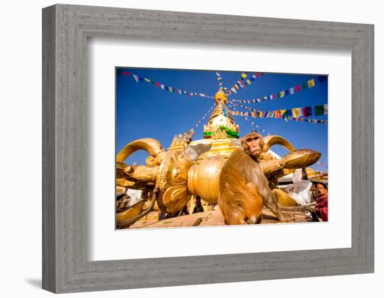 Sacred Monkey Temple (Swayambhunath Temple), UNESCO World Heritage Site, Kathmandu, Nepal, Asia-Laura Grier-Framed Photographic Print