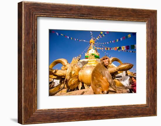 Sacred Monkey Temple (Swayambhunath Temple), UNESCO World Heritage Site, Kathmandu, Nepal, Asia-Laura Grier-Framed Photographic Print