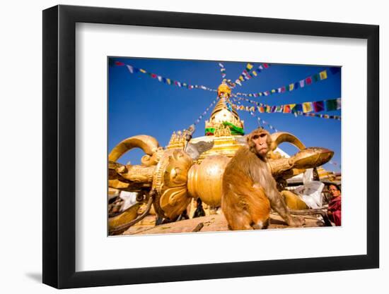 Sacred Monkey Temple (Swayambhunath Temple), UNESCO World Heritage Site, Kathmandu, Nepal, Asia-Laura Grier-Framed Photographic Print