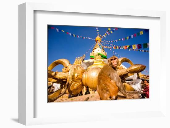 Sacred Monkey Temple (Swayambhunath Temple), UNESCO World Heritage Site, Kathmandu, Nepal, Asia-Laura Grier-Framed Photographic Print