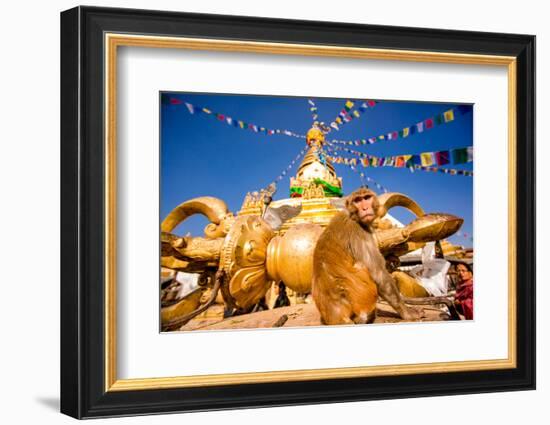 Sacred Monkey Temple (Swayambhunath Temple), UNESCO World Heritage Site, Kathmandu, Nepal, Asia-Laura Grier-Framed Photographic Print