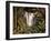 Sacred Pool I-Rodolfo Jimenez-Framed Art Print