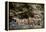 Sacred site of Sefa Utaki, UNESCO World Heritage Site, Okinawa, Japan, Asia-Michael Runkel-Framed Premier Image Canvas