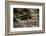 Sacred site of Sefa Utaki, UNESCO World Heritage Site, Okinawa, Japan, Asia-Michael Runkel-Framed Photographic Print