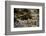 Sacred site of Sefa Utaki, UNESCO World Heritage Site, Okinawa, Japan, Asia-Michael Runkel-Framed Photographic Print