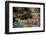 Sacred site of Sefa Utaki, UNESCO World Heritage Site, Okinawa, Japan, Asia-Michael Runkel-Framed Photographic Print