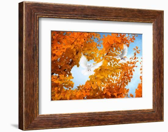 Sacred Tree-Philippe Sainte-Laudy-Framed Photographic Print